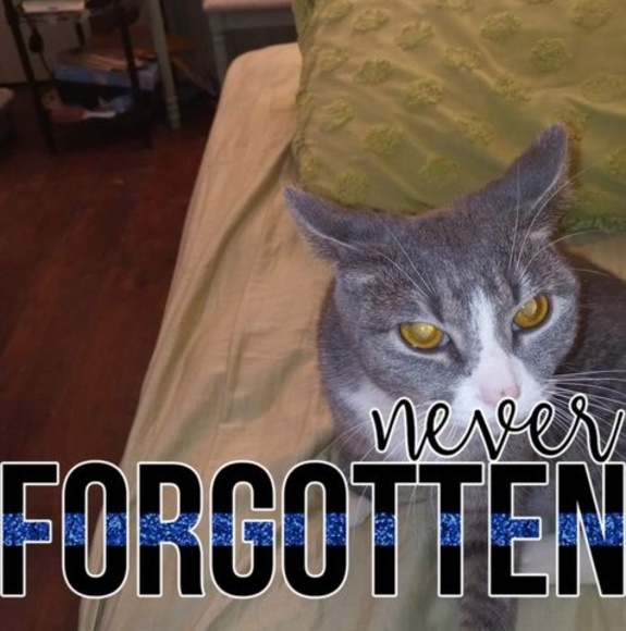 Meet your Posher, Beverly - Picture 1 of 1